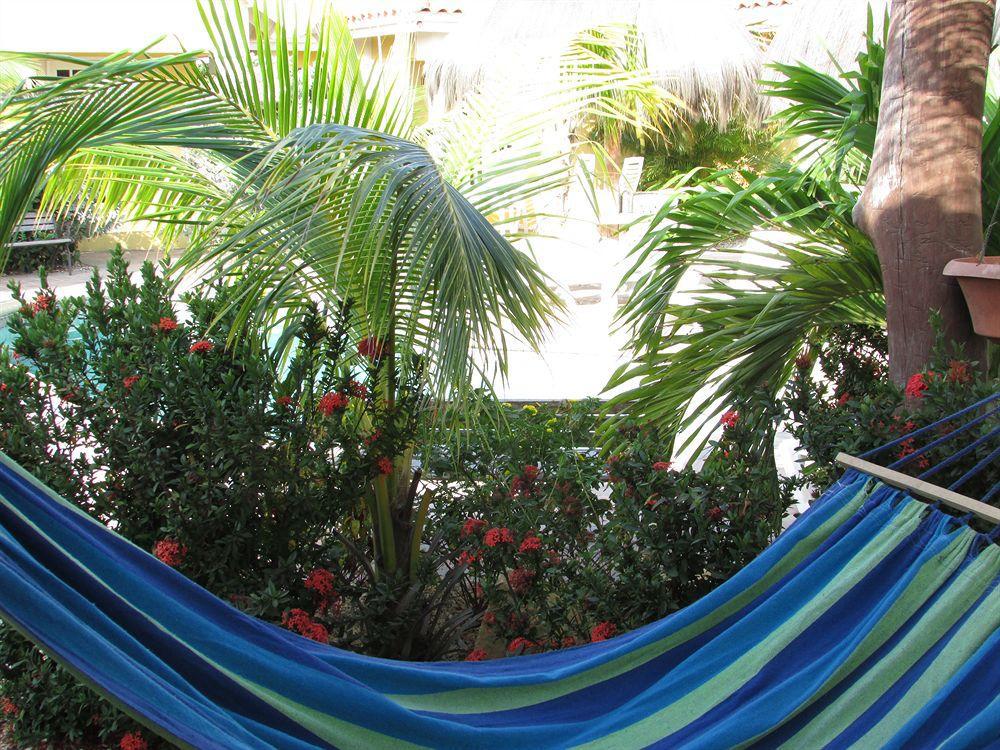 נורד Aruba Tropic Apartments מראה חיצוני תמונה